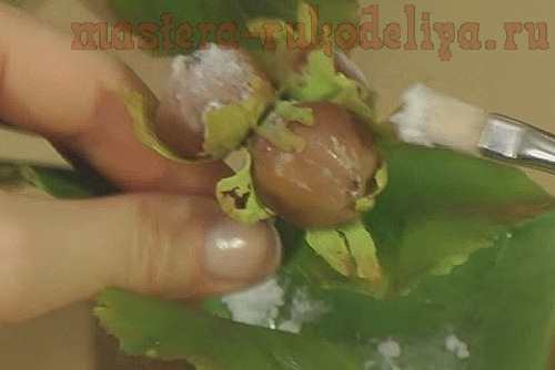 Мастер-класс по керамической флористике: Лесные орешки