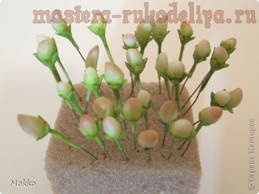 Мастер-класс по керамической флористике: Леспедеца (кустовой клевер)