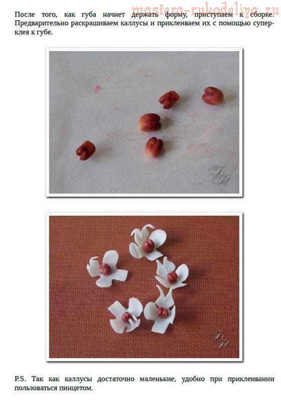 Мастер-класс по керамической флористике: Мини-фаленопсис