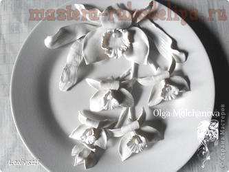 Мастер-класс по лепке из холодного фарфора: Орхидея 