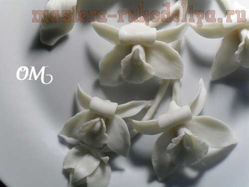 Мастер-класс по лепке из холодного фарфора: Орхидея