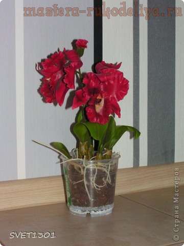 Мастер-класс по лепке из холодного фарфора:  Орхидея
