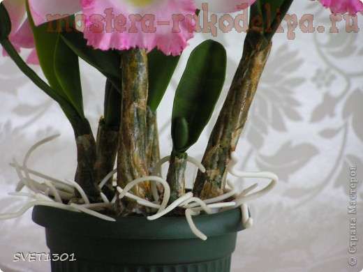 Мастер-класс по лепке из холодного фарфора:  Орхидея
