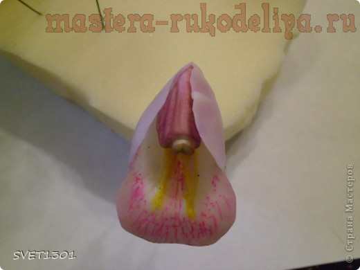 Мастер-класс по лепке из холодного фарфора: Орхидея цимбидиум
