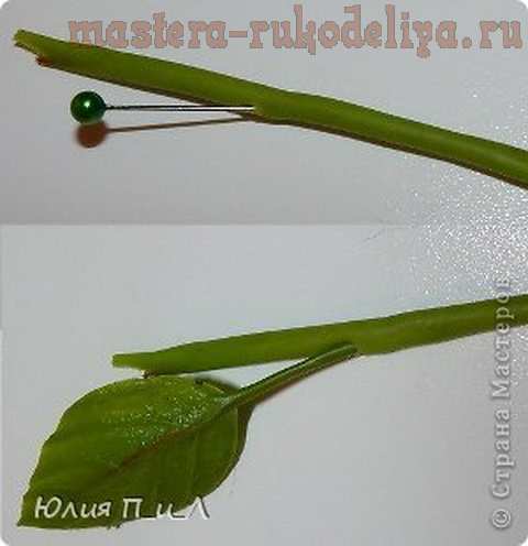 Мастер-класс по лепке из холодного фарфора: Цветущий кизил